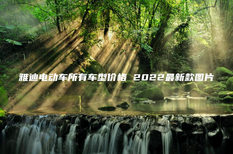 雅迪電動車所有車型價格 2022最新款圖片