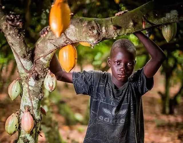 販賣黑奴時(shí)，奴隸主怎么挑選？掰開嘴巴看牙齒，靠舔下巴識(shí)別汗液