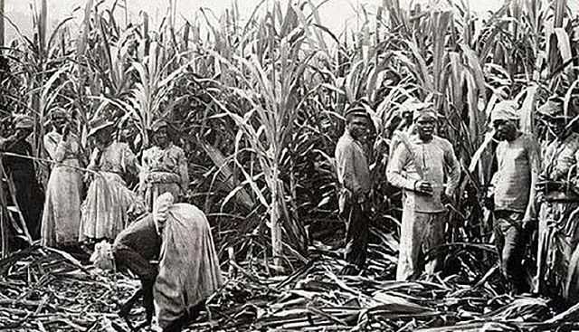 販賣黑奴時(shí)，奴隸主怎么挑選？掰開嘴巴看牙齒，靠舔下巴識(shí)別汗液