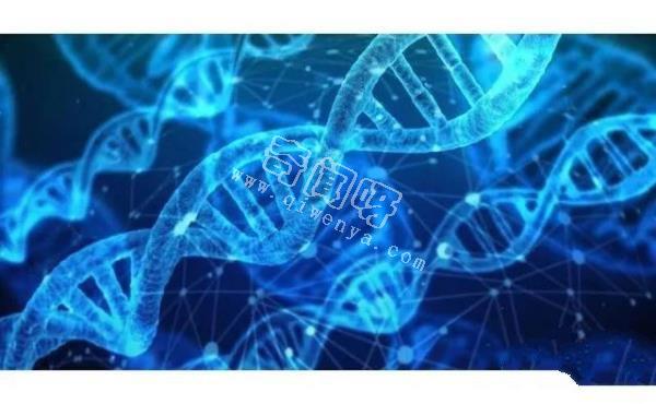 科學(xué)家發(fā)現(xiàn)人類DNA存在修改痕跡！其中或許隱藏了人類起源！