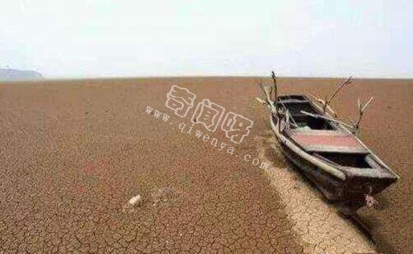 人類滅絕后地球會怎樣？八張圖片帶你看完人類消失的地球