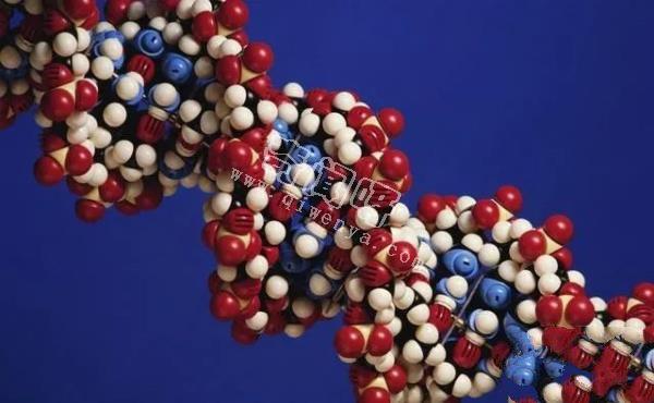 科學(xué)家發(fā)現(xiàn)人類DNA存在修改痕跡！其中或許隱藏了人類起源！