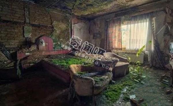 人類滅絕后地球會怎樣？八張圖片帶你看完人類消失的地球