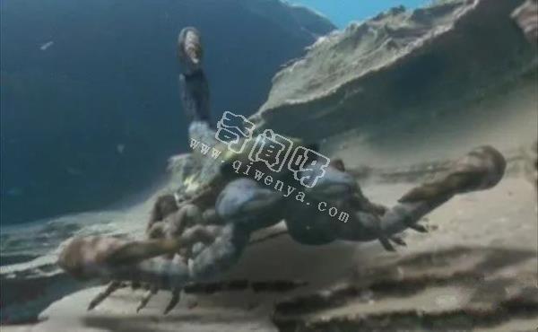 盤點地球史上十大巨型怪物，如果沒滅絕世界將因此而改變！