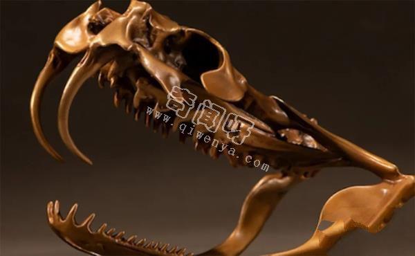 眼鏡王蛇有多厲害？如果把它放到非洲會怎樣