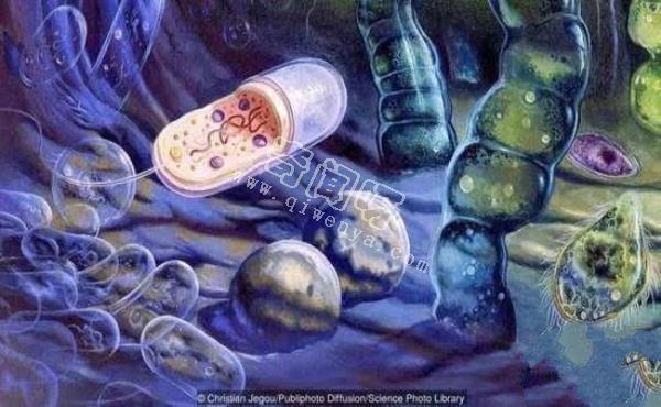 地球生物全部滅絕了，億萬年后還會再次產生生命嗎？