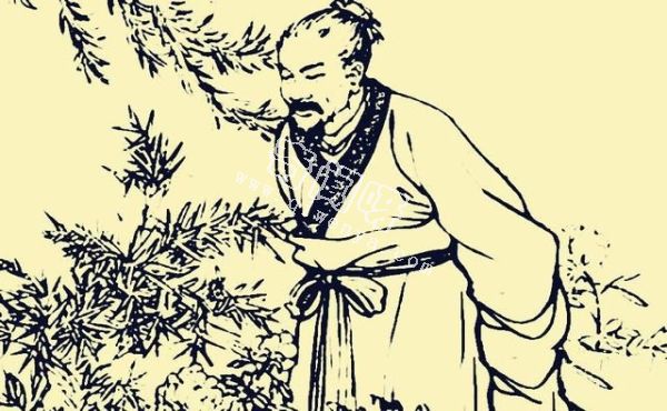 民間鬼故事-蝦子