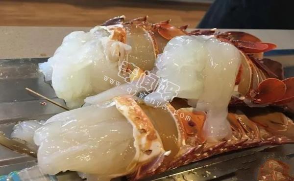 理論能活1000年，龍蝦不老的奧秘曝光！