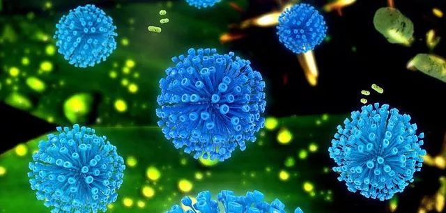 科學家在孕婦血液中發現一億年老的病毒