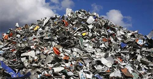 垃圾填埋場發現真菌已進化成會吃塑膠的生物