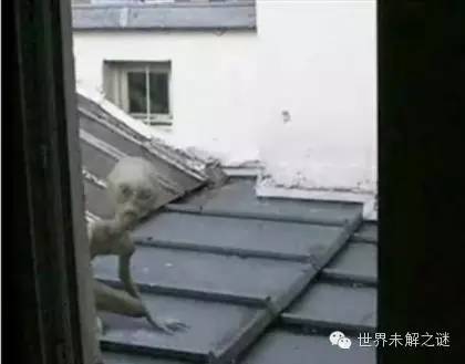 外星人照片是真的？你真相信外星人存在嗎？