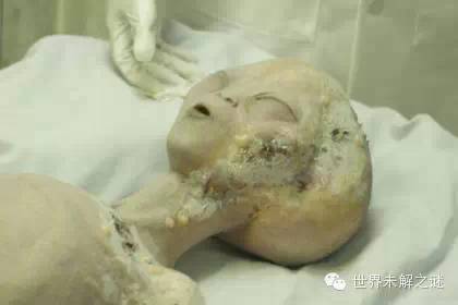 外星人照片是真的？你真相信外星人存在嗎？