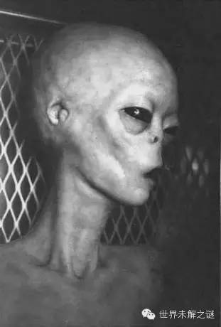外星人照片是真的？你真相信外星人存在嗎？