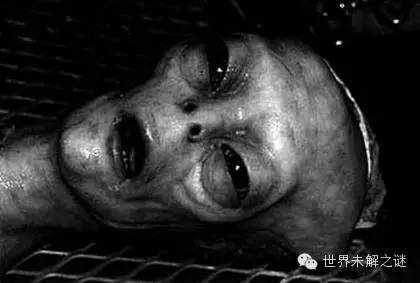 外星人照片是真的？你真相信外星人存在嗎？