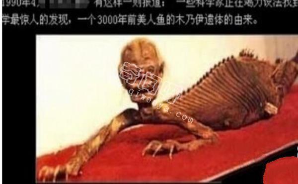 美人魚是史前地球人類用基因改造的？