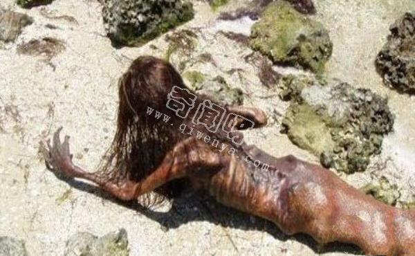 美人魚是史前地球人類用基因改造的？