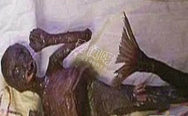 美人魚是史前地球人類用基因改造的？