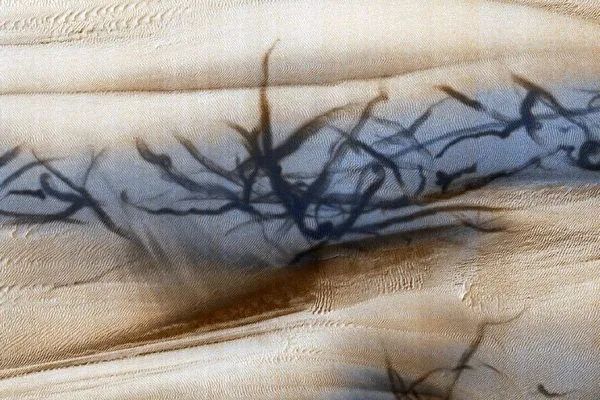 火星上發現“怪獸爪印”