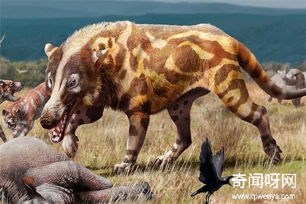 動(dòng)物未解之謎