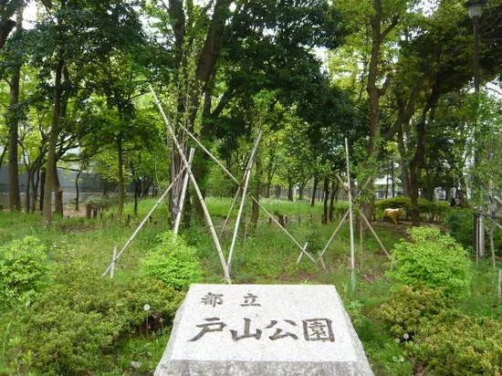 東京最猛鬧鬼景點：翠綠公園下埋著“二戰實驗品”百余具人骨