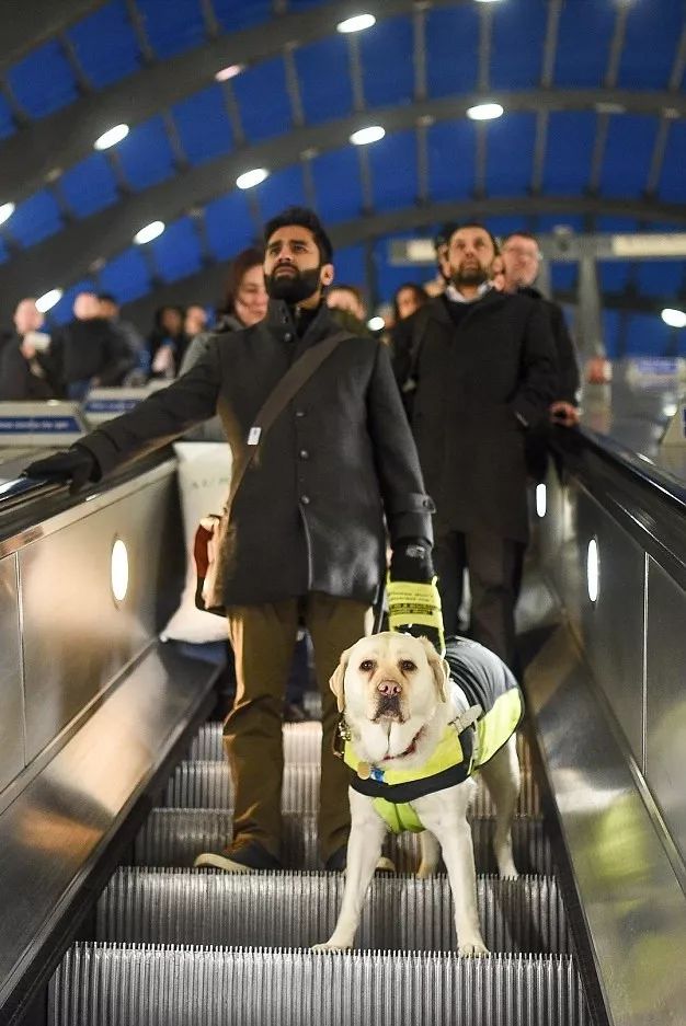 盲人的夢境和我們哪里不同？他們長期活在危機中，噩夢機率也高4倍