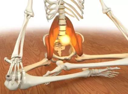 瑜珈大師解釋人T里靈魂的肌肉是造成生理疼痛的主因！