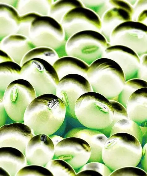 科學(xué)家把食用油變成比鋼鐵堅固兩百倍的材料!