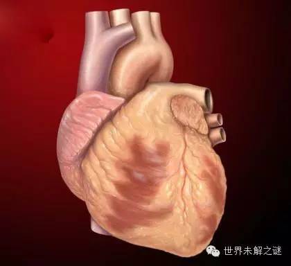 6個(gè)讓人毛骨悚然的真實(shí)靈異事件,總會(huì)有不可能的事發(fā)生！