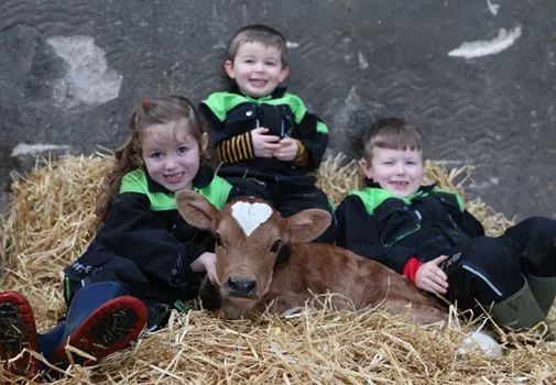 情人節(jié)奇跡：超萌小牛自帶雪白愛心出生，告白就靠你了