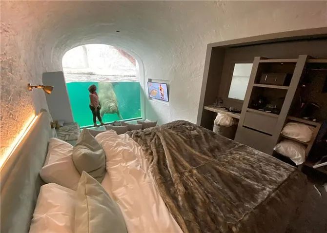 神仙度假村：可以跟海象一起睡，高級套房還能靠近北極熊！