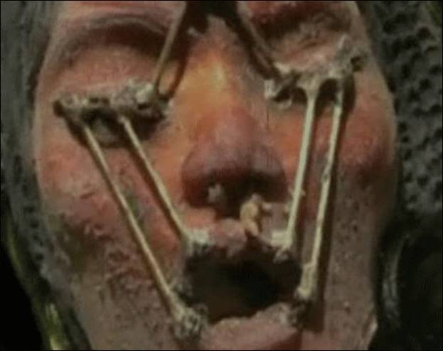 NASA前職員公開阿波羅號在月球上發現的外星船和“蒙娜麗莎”女外星人！