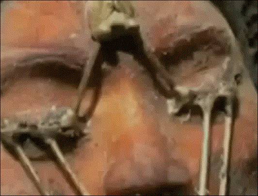 NASA前職員公開阿波羅號在月球上發現的外星船和“蒙娜麗莎”女外星人！