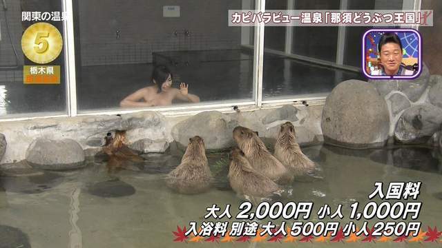 攝影師大秀遮三點神技，溫泉特集都在看美體！