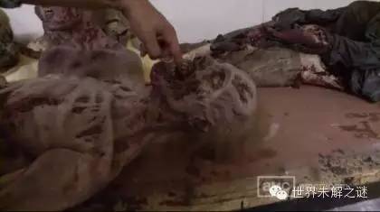 揭秘行尸走肉集中營 各種行尸驚爆眼球！