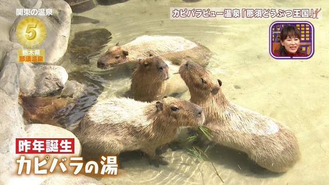 攝影師大秀遮三點神技，溫泉特集都在看美體！