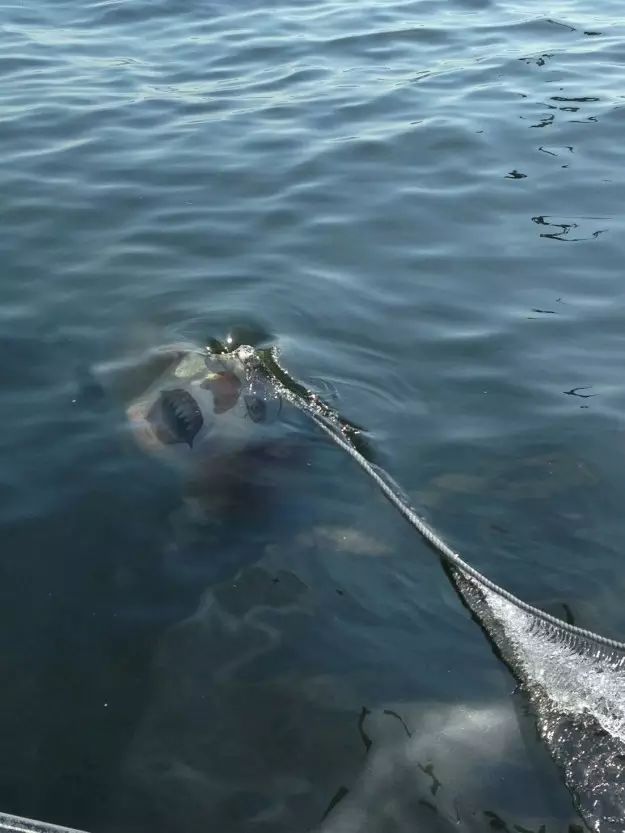 20張照片證明黑暗恐懼癥比密集恐懼癥還要可怕N倍！