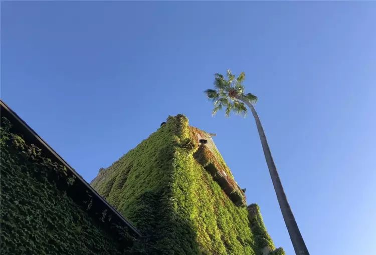 iPhone 8開箱初試：效能、拍攝讓人驚艷，期待iPhone X