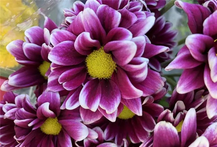 iPhone 8開箱初試：效能、拍攝讓人驚艷，期待iPhone X