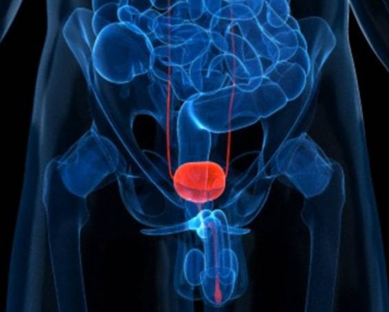 高個子男人會得同一種致命疾病！身高多10cm死亡率增加17%！