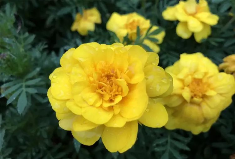 iPhone 8開箱初試：效能、拍攝讓人驚艷，期待iPhone X