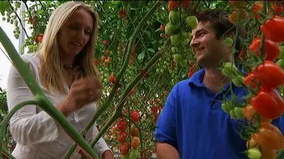 沙漠農場在沒有土壤、地下水、農藥的情況下種出17000噸的食物！