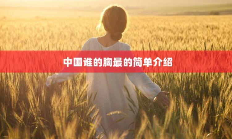 中國誰的胸最的簡單介紹